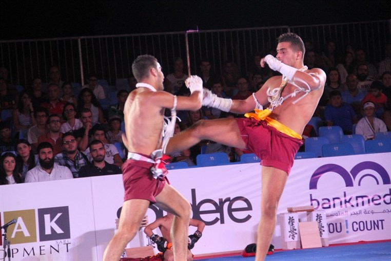 Martial Arts Festival